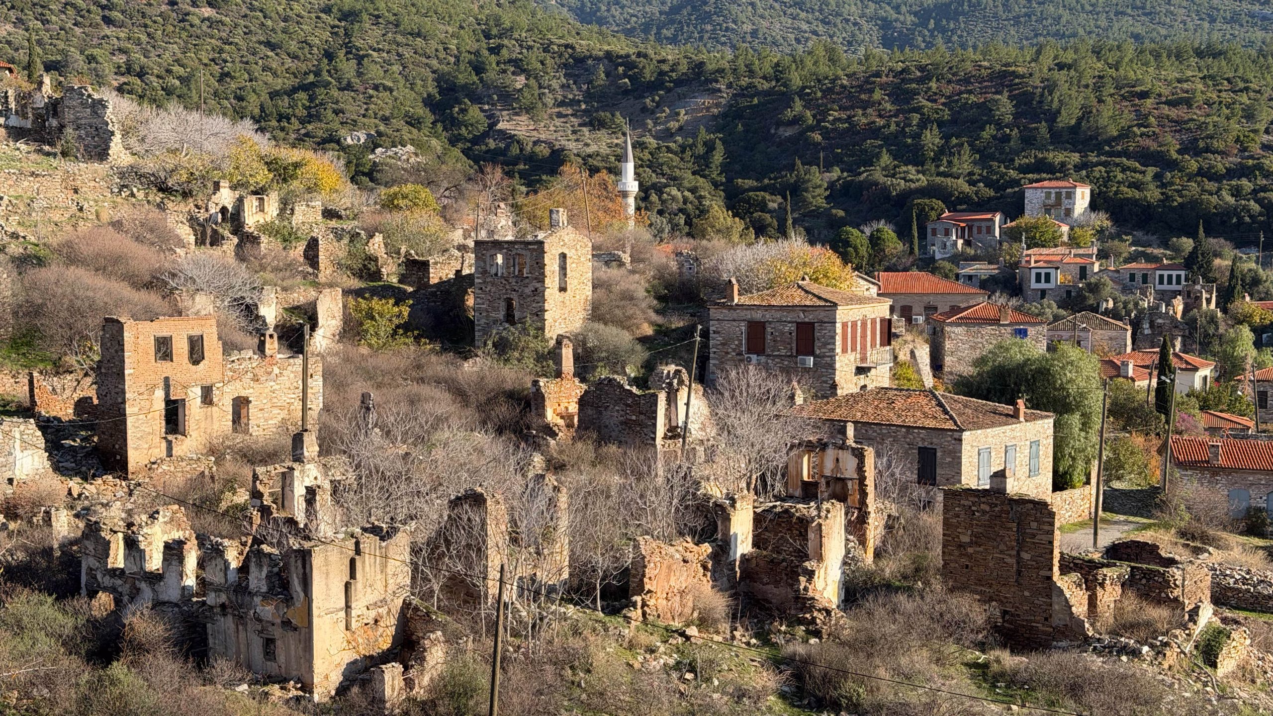 doganbey_3741