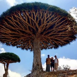 Socotra_012
